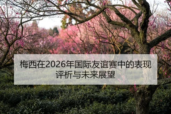 梅西在2026年国际友谊赛中的表现评析与未来展望