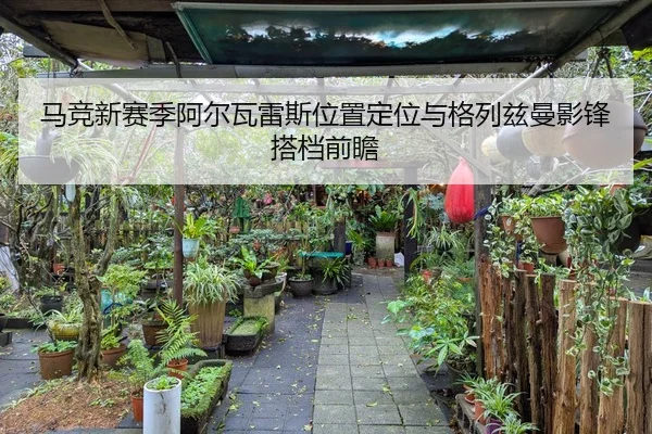 马竞新赛季阿尔瓦雷斯位置定位与格列兹曼影锋搭档前瞻