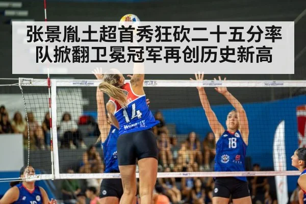 volleyball match action